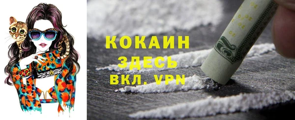 эйфоретик Баксан
