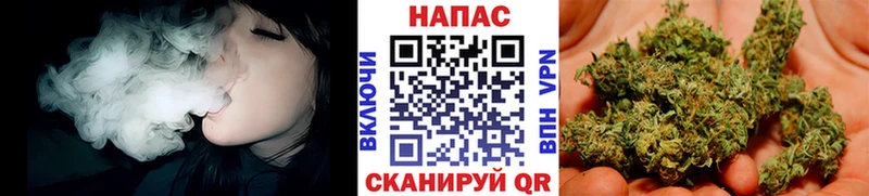 Бошки марихуана конопля  omg маркетплейс  Сертолово 